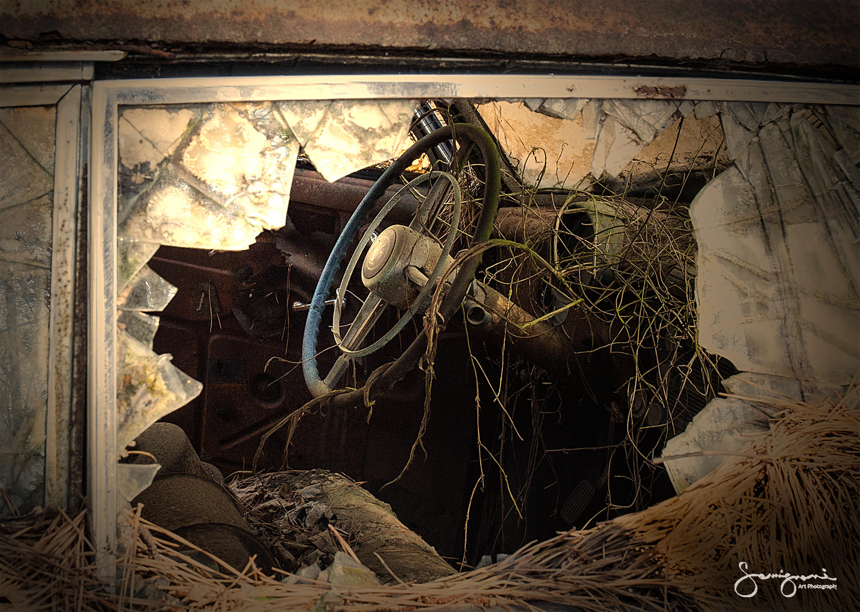 Looking in the Window-
Junk Yard, White, GA