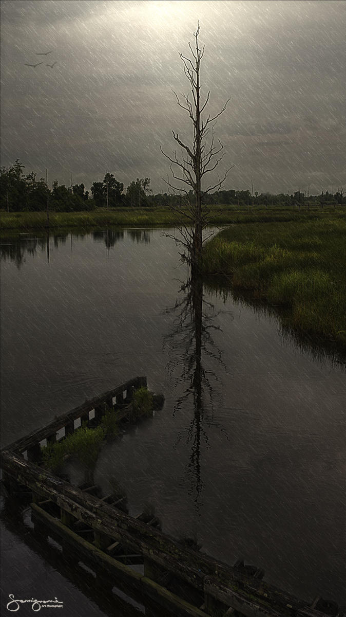 Old Smith's Creek Bridge, Wilmington,NC
