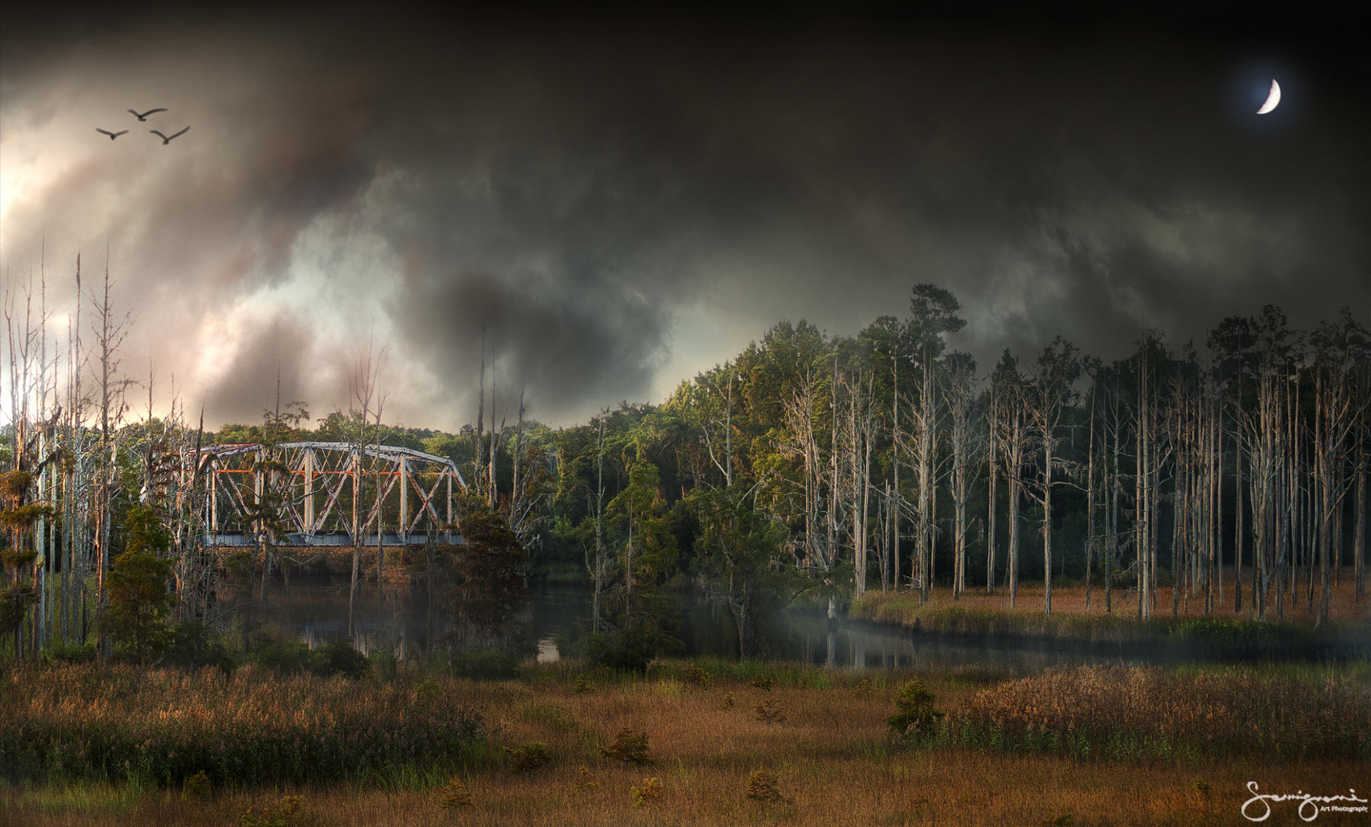 Smiths Creek Bridge and Swamp- Wilmington, NC