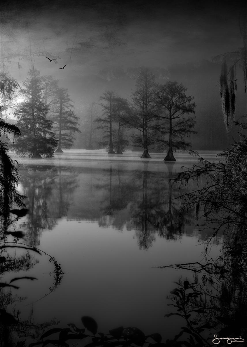 Greenfield Lake#1 Wilmington,NC B&W