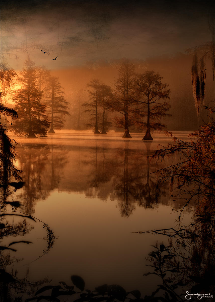 Greenfield Lake#1 Wilmington,NC