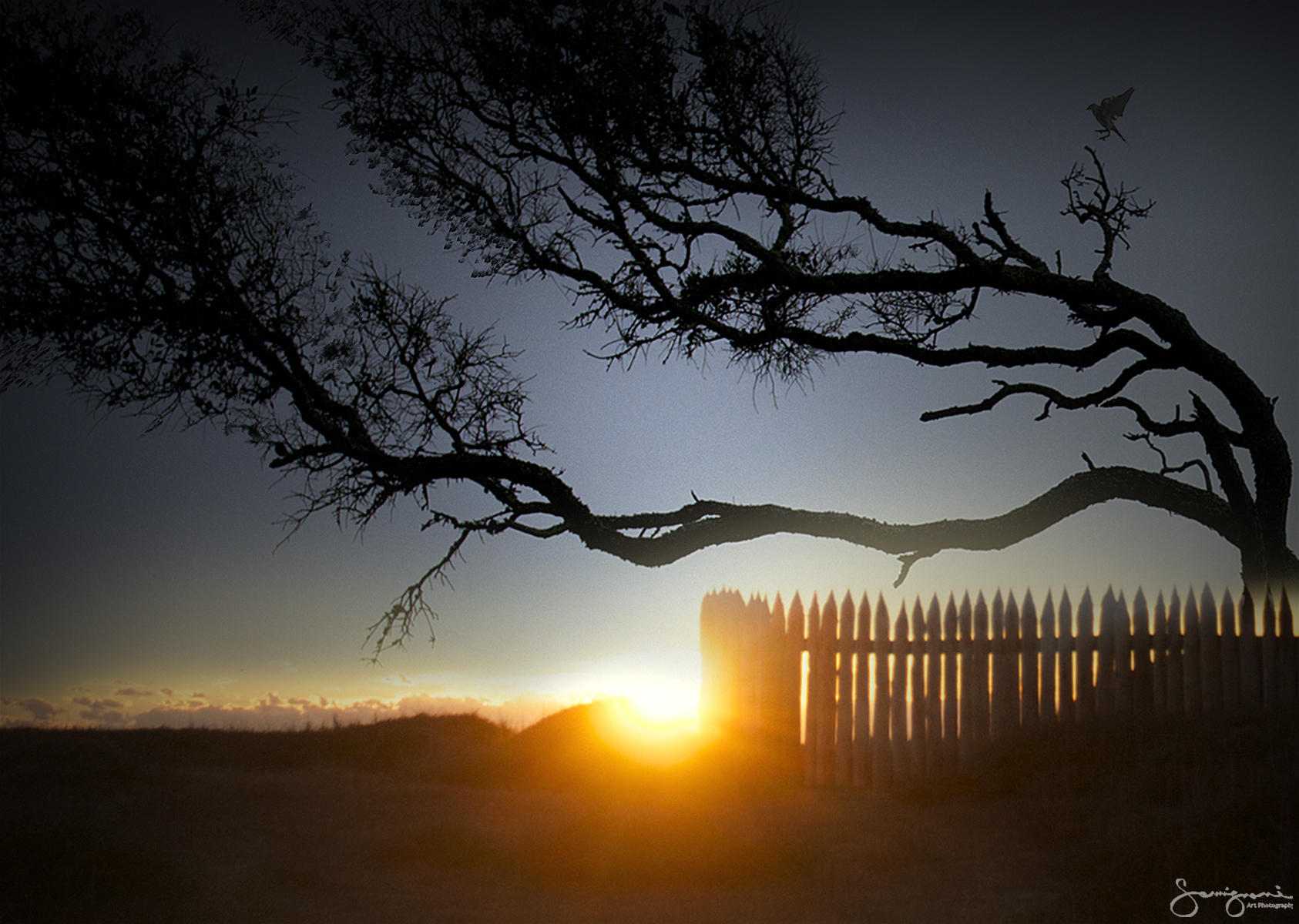 Reaching-Carolina Beach, NC