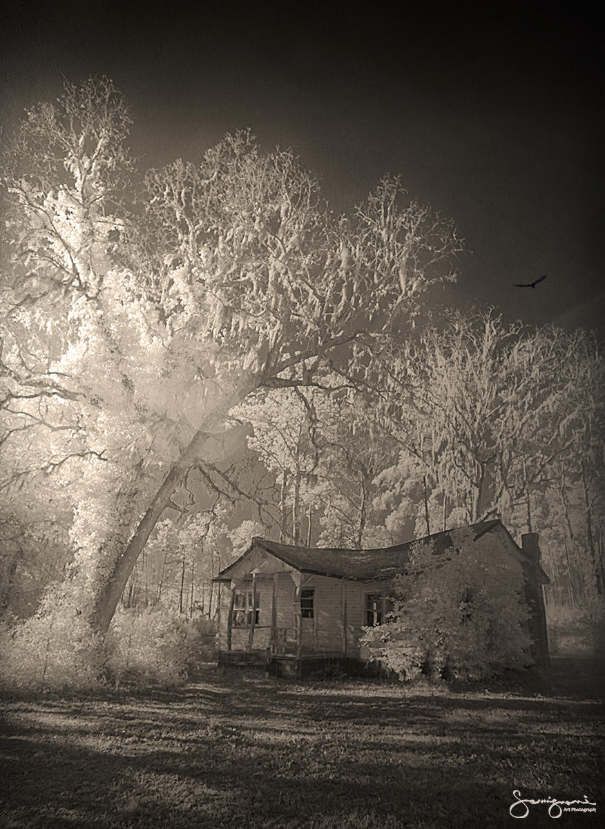 Forgotten House-
Fort Anderson, NC