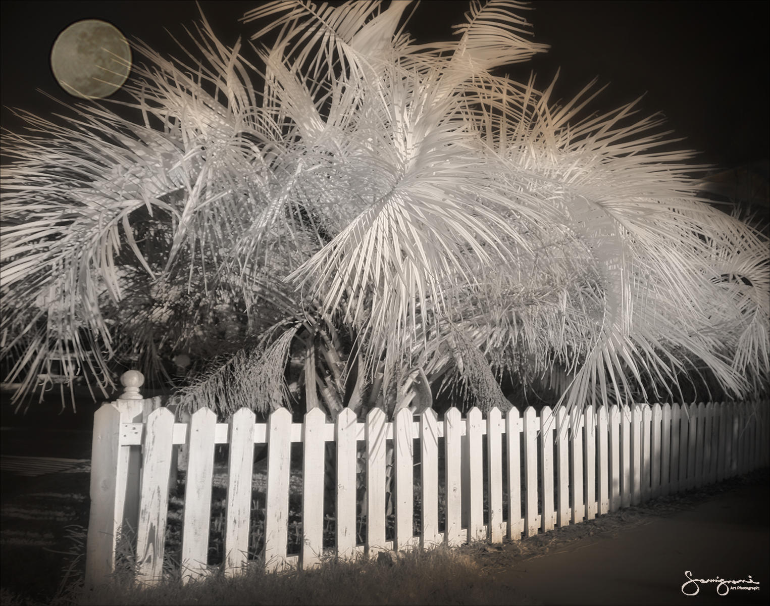 White Picket Fence-
South Port, NC