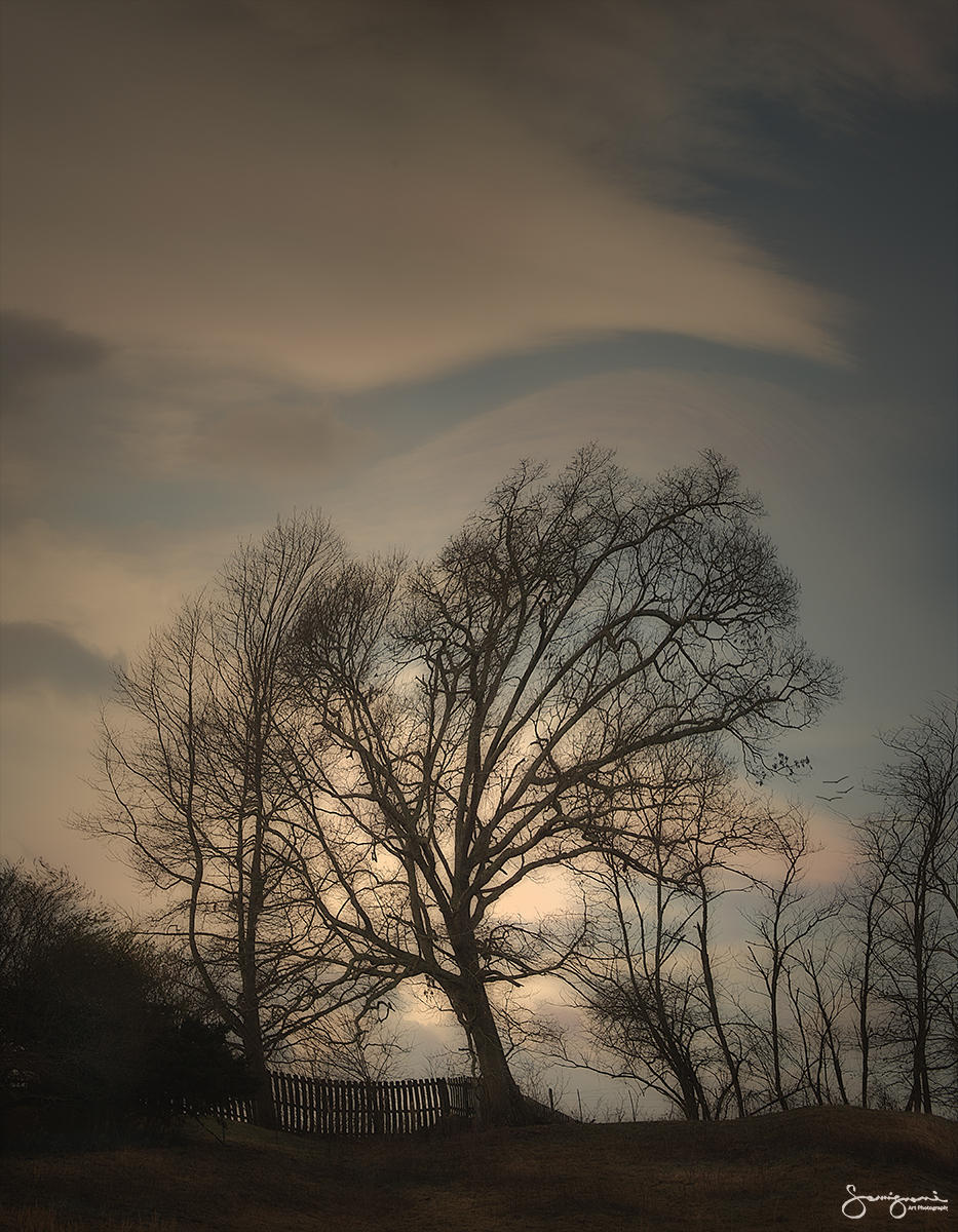 In the Flow-
Sandy Mush,NC