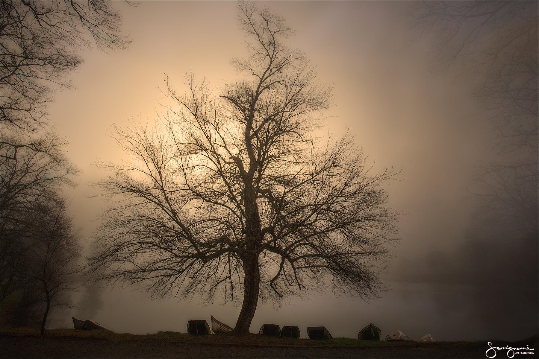 Winter at Beaver Lake, NC