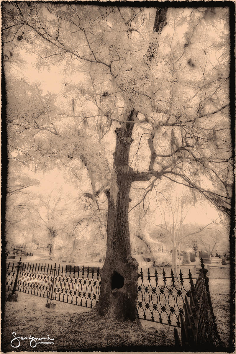 A Resting Place-Wilmington, NC