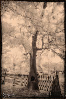 © 1980-2016 Gemignani, Fine Art Photography. All rights reserved.