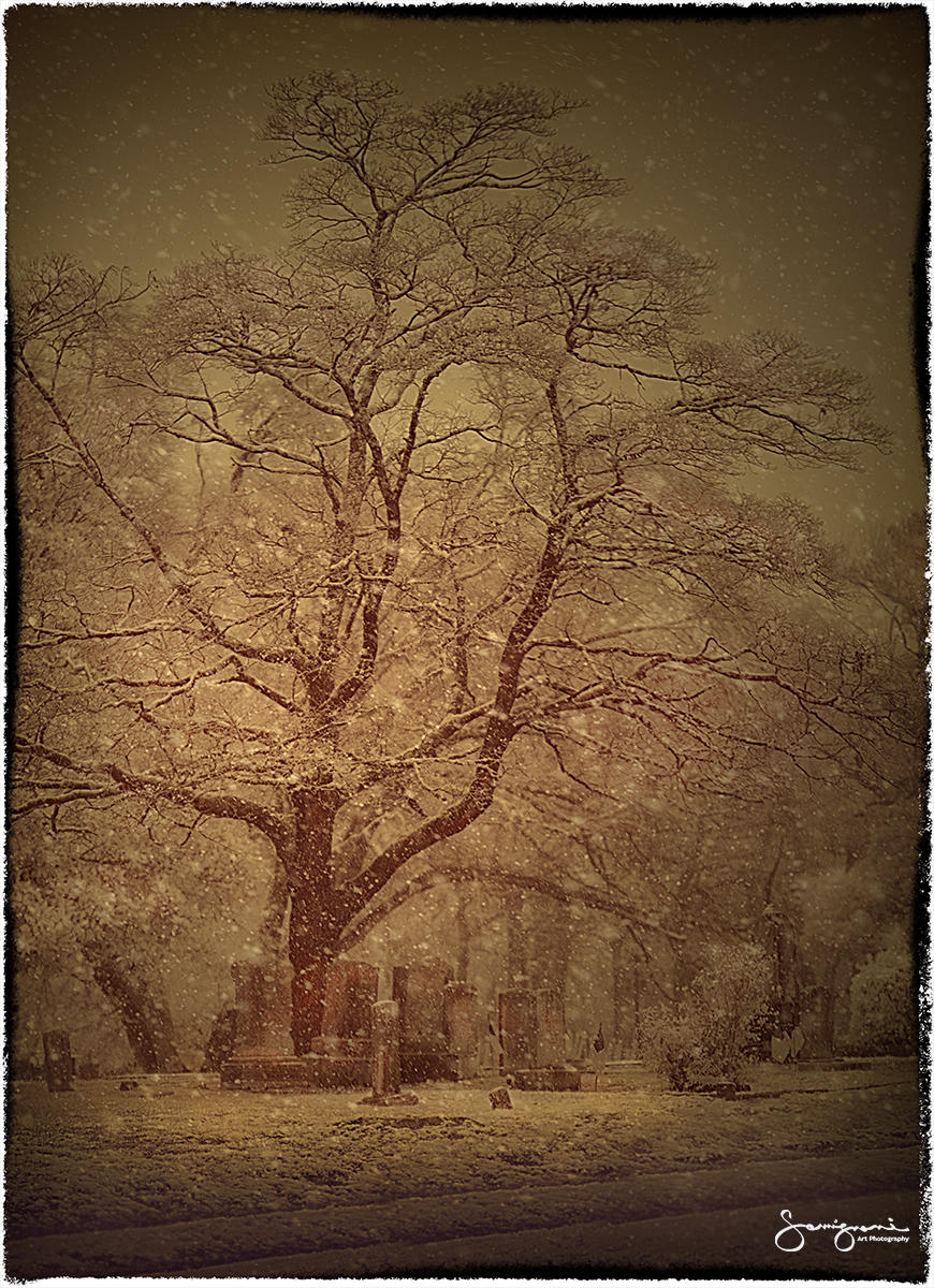 Grave Stones in Snow-Wilmington, NC