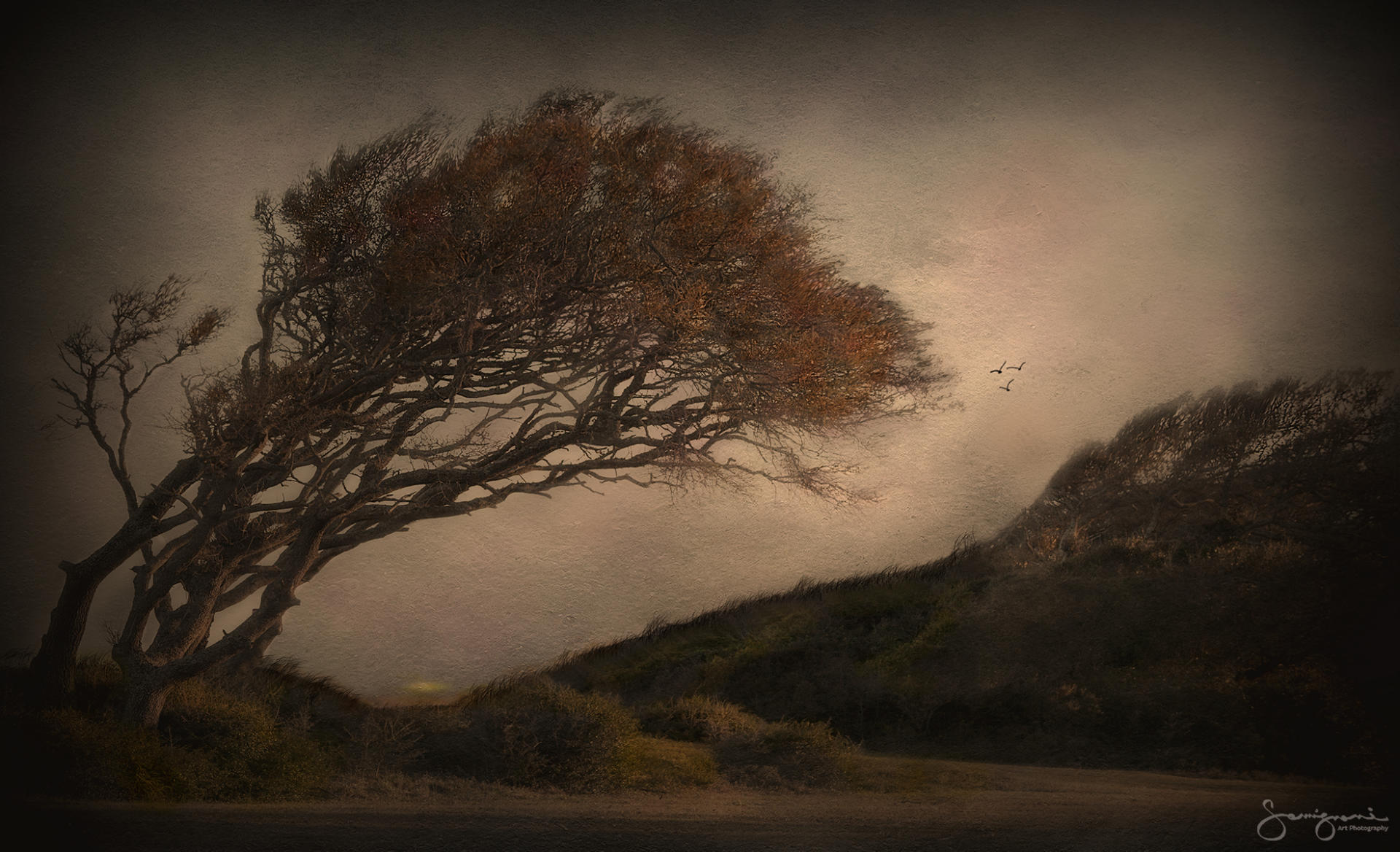 Bent Tree-Fort Fisher, NC