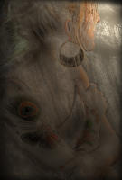© 1980-2016 Gemignani, Fine Art Photography. All rights reserved.