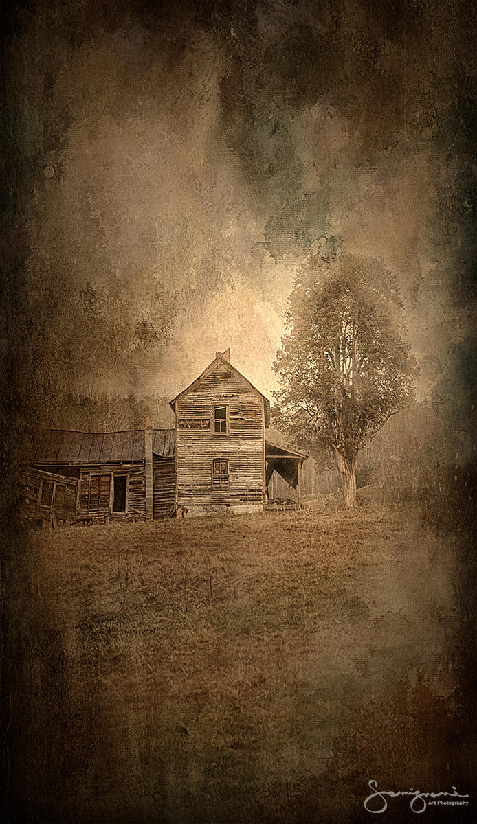 House on the Hill Cool Tree-
Sandy Mush,NC