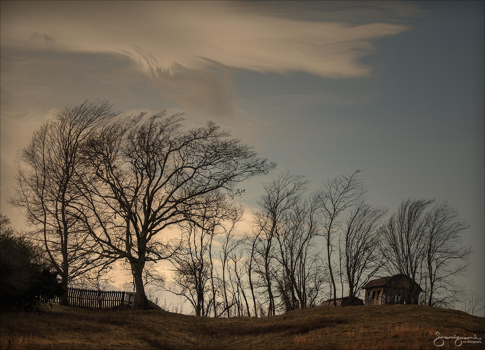 Swaying in the Breeze-Sandy Mush, NC