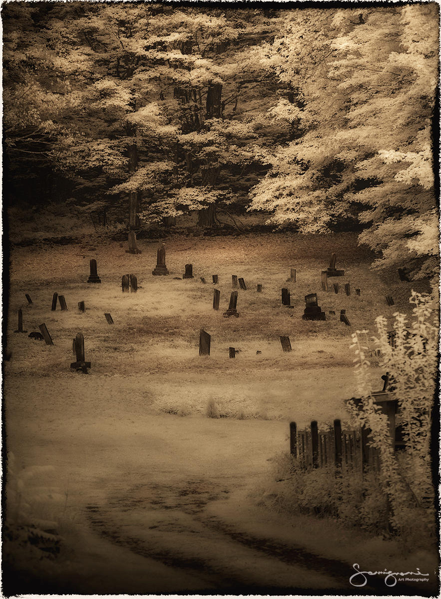 Old Family Cemetery- 
Livingstonville, NY