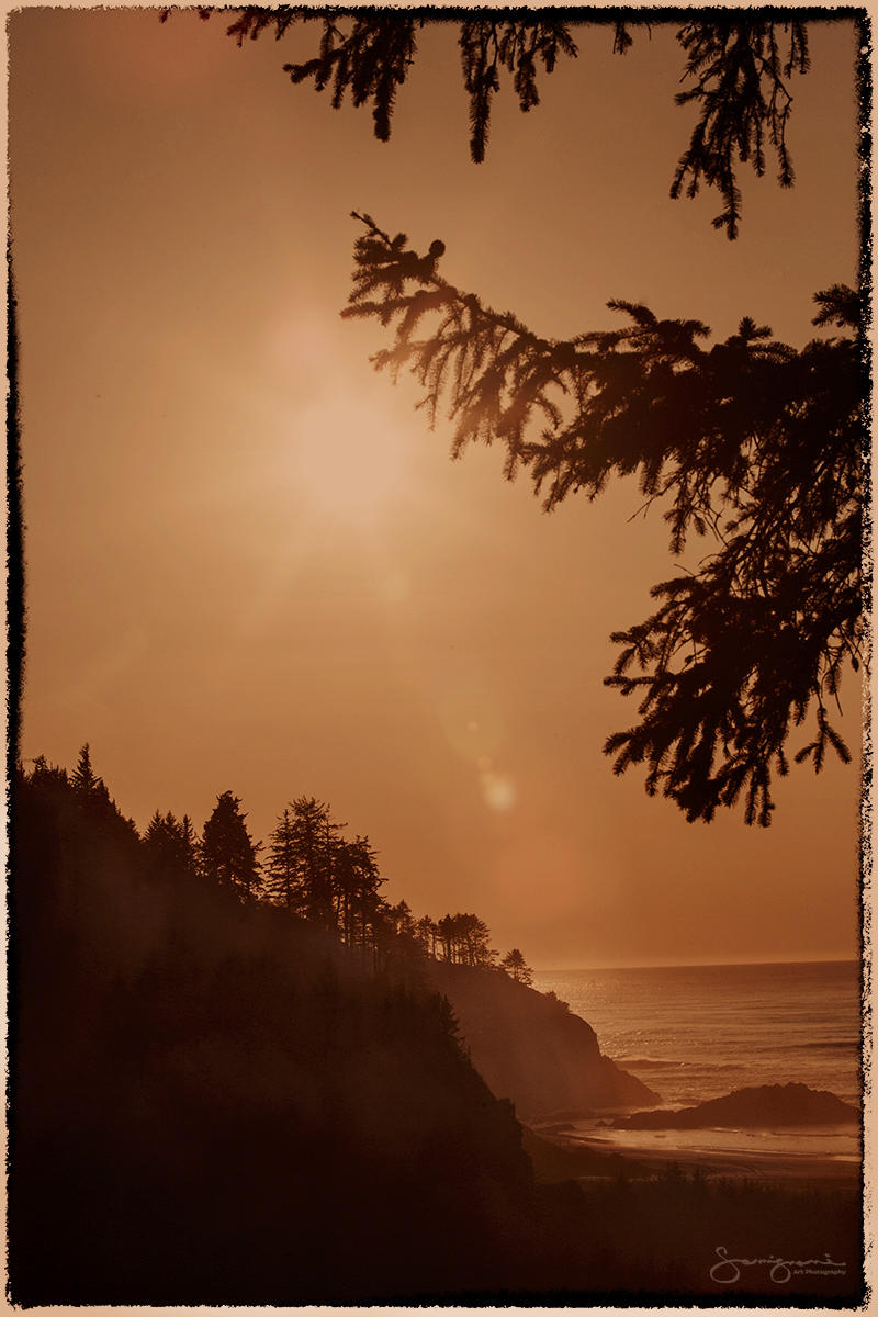 Sunset-
Cape Disappointment State Park, WA