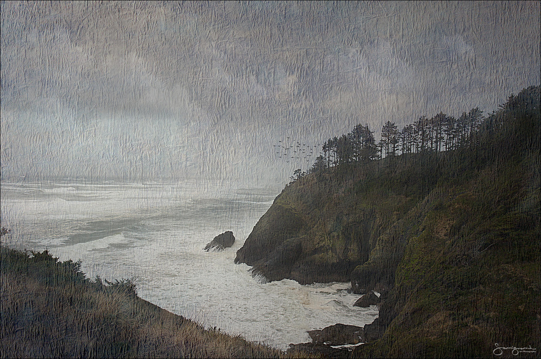 Cape Disappointment State Park, Long Beach Peninsula ,WA 