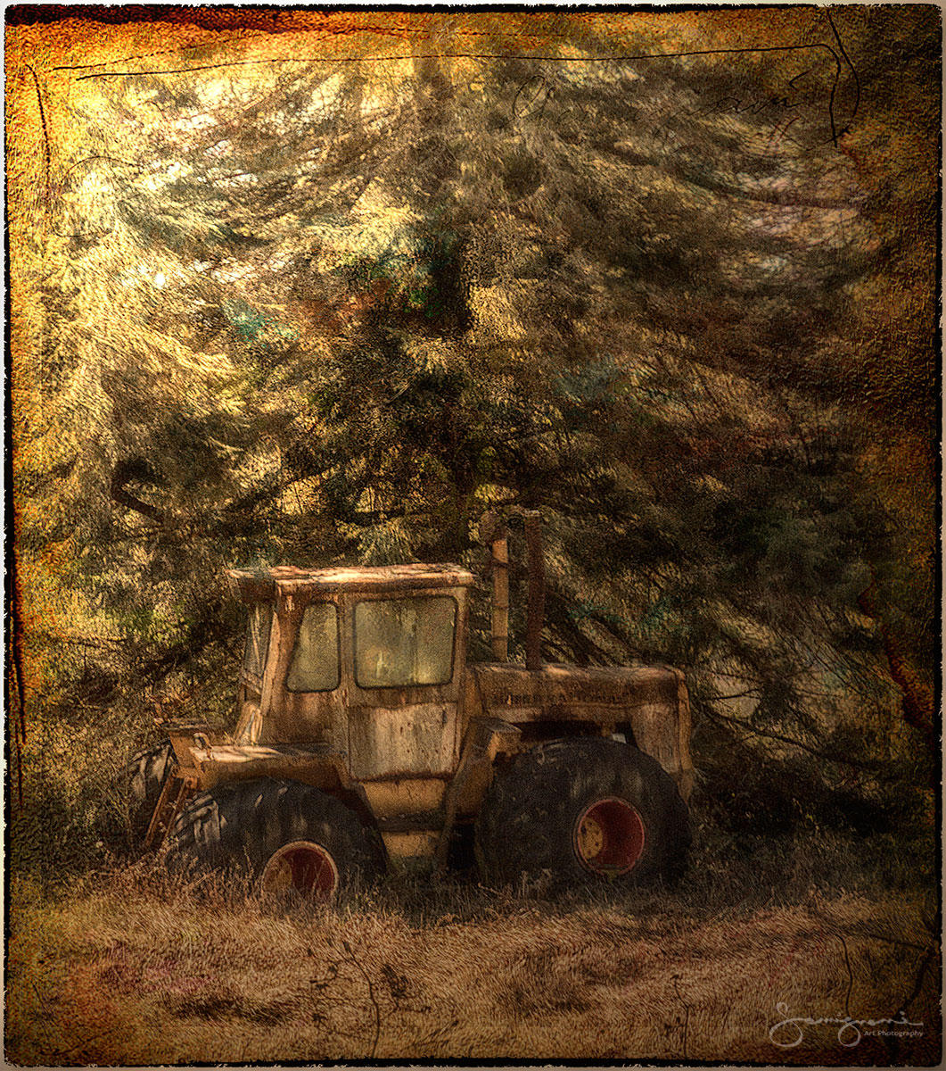 Abandoned Tractor and Dog-Ocan Park,WA