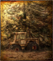 © 1980-2016 Gemignani, Fine Art Photography. All rights reserved.