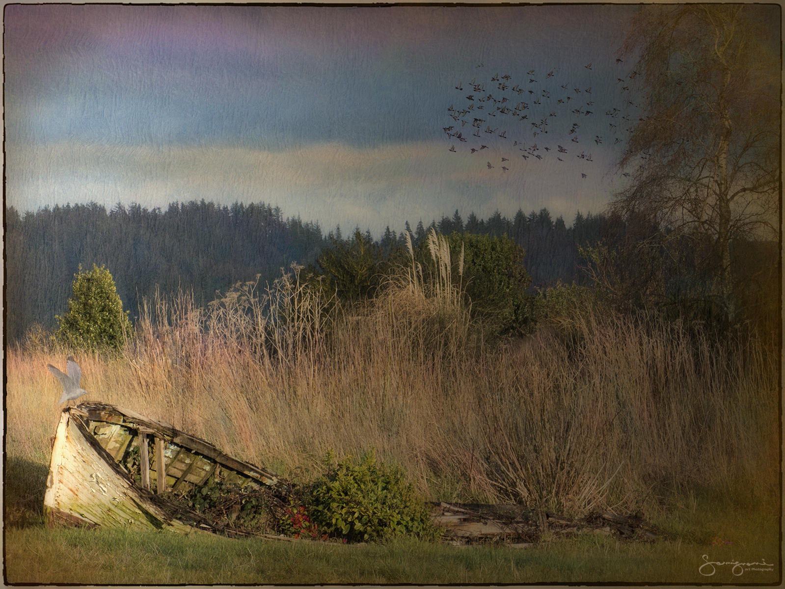 Boat Just Resting-Nahcotta,WA