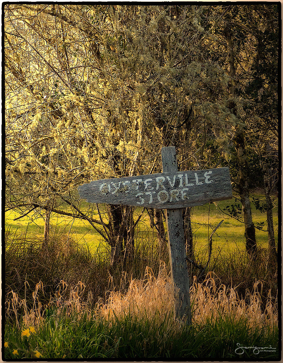 Oysterville Store-Sign-
Oysterville,WA