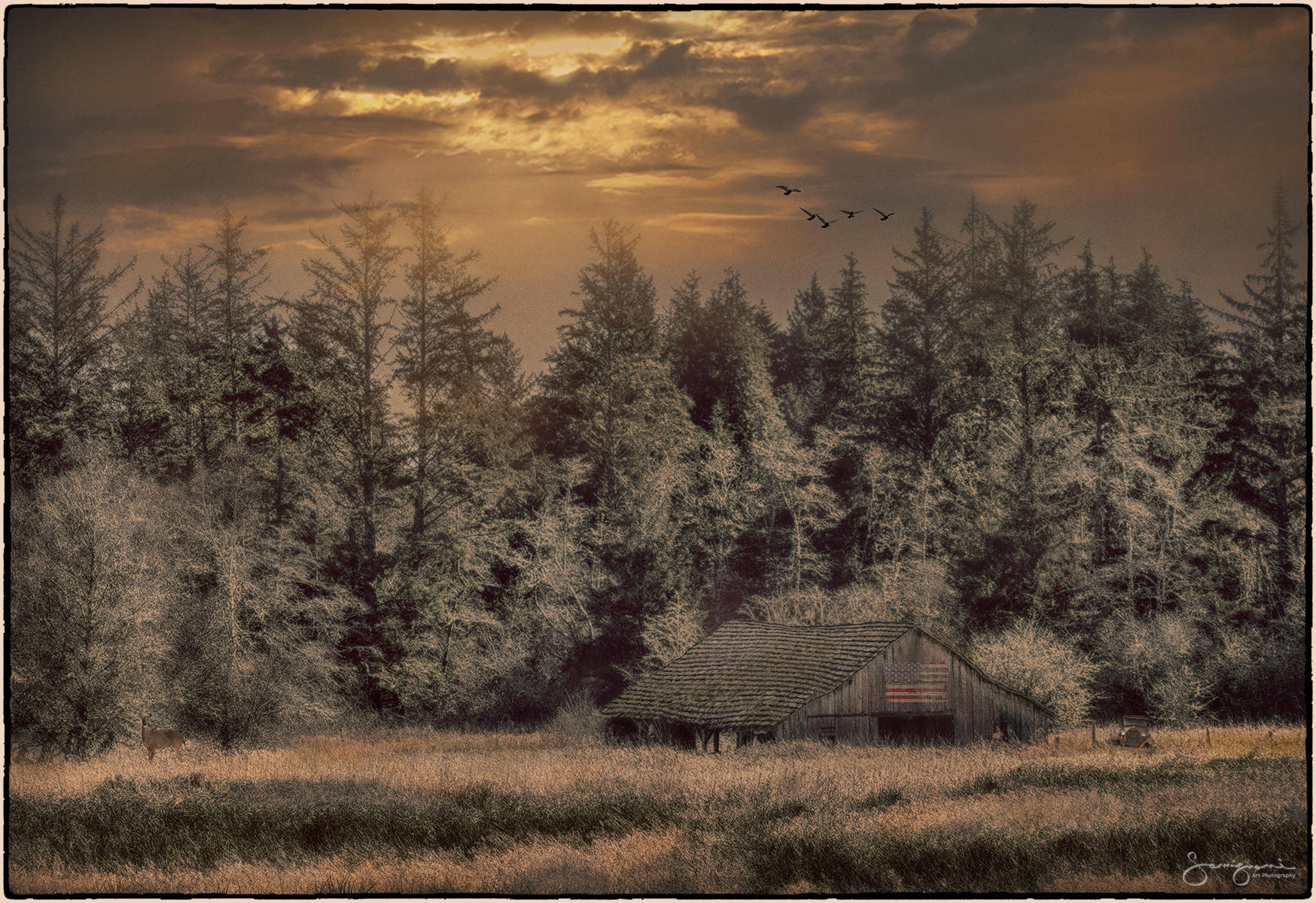 Almost Forgotten-
Seaview, WA