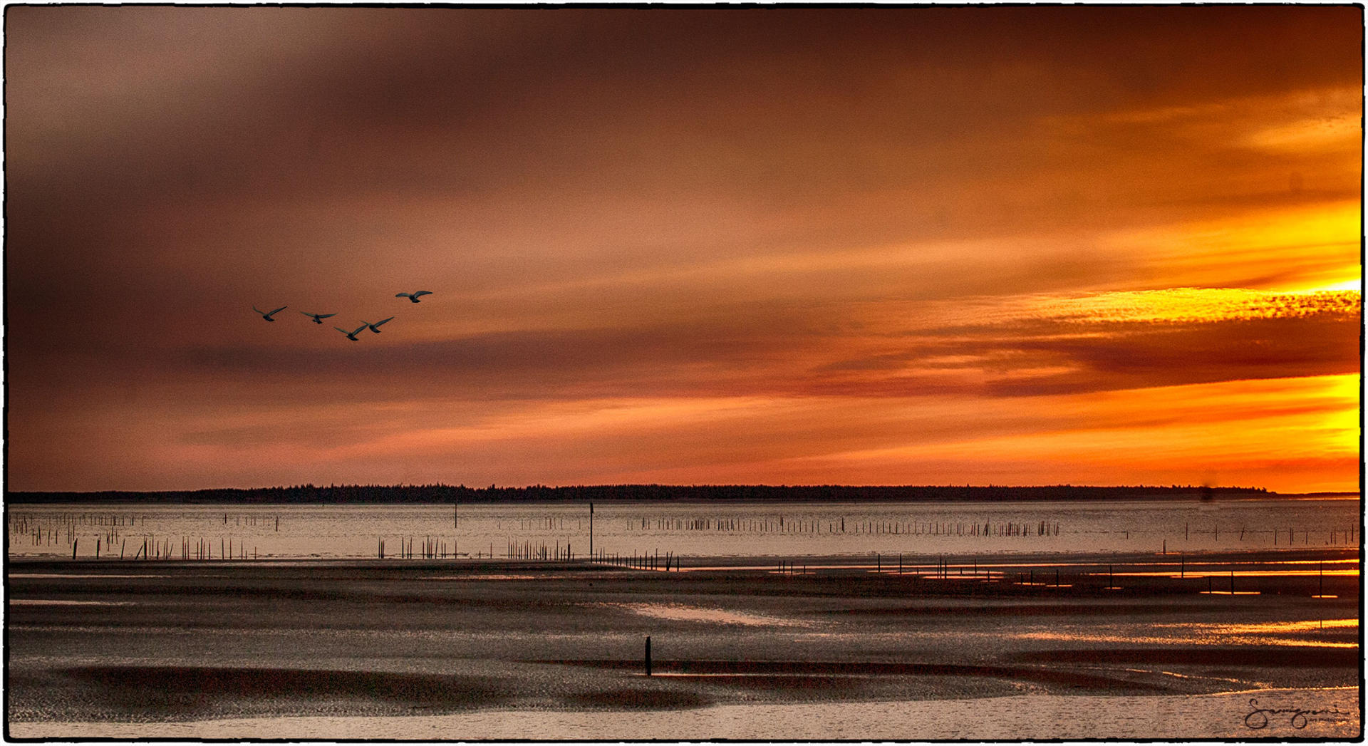 Sunset at Chinook Harbor,WA