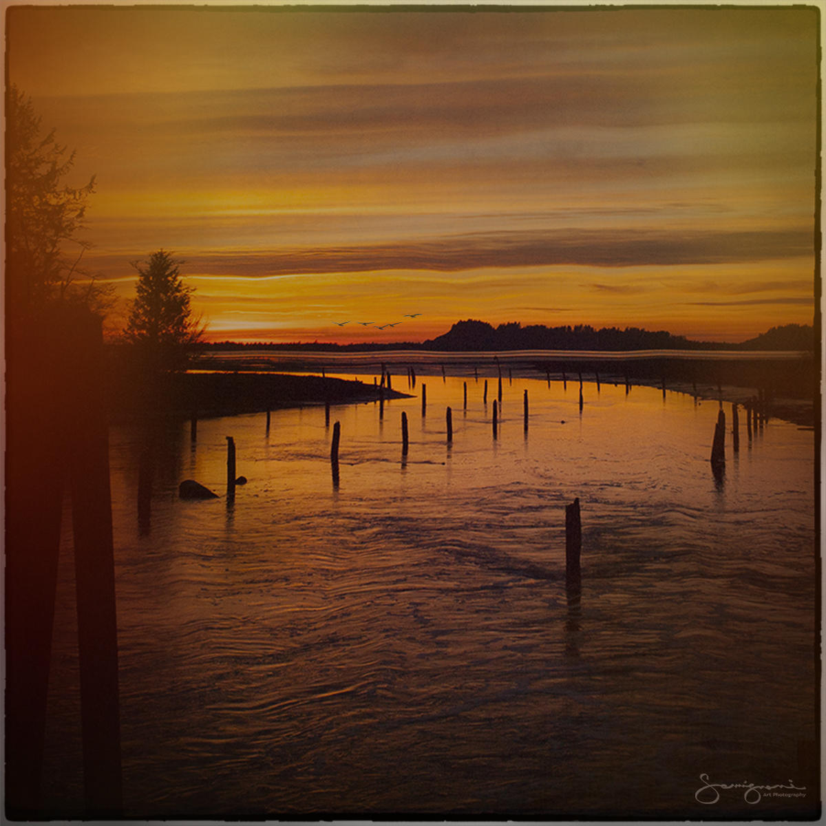 Chinook Inlet-
Chinook Port, WA

