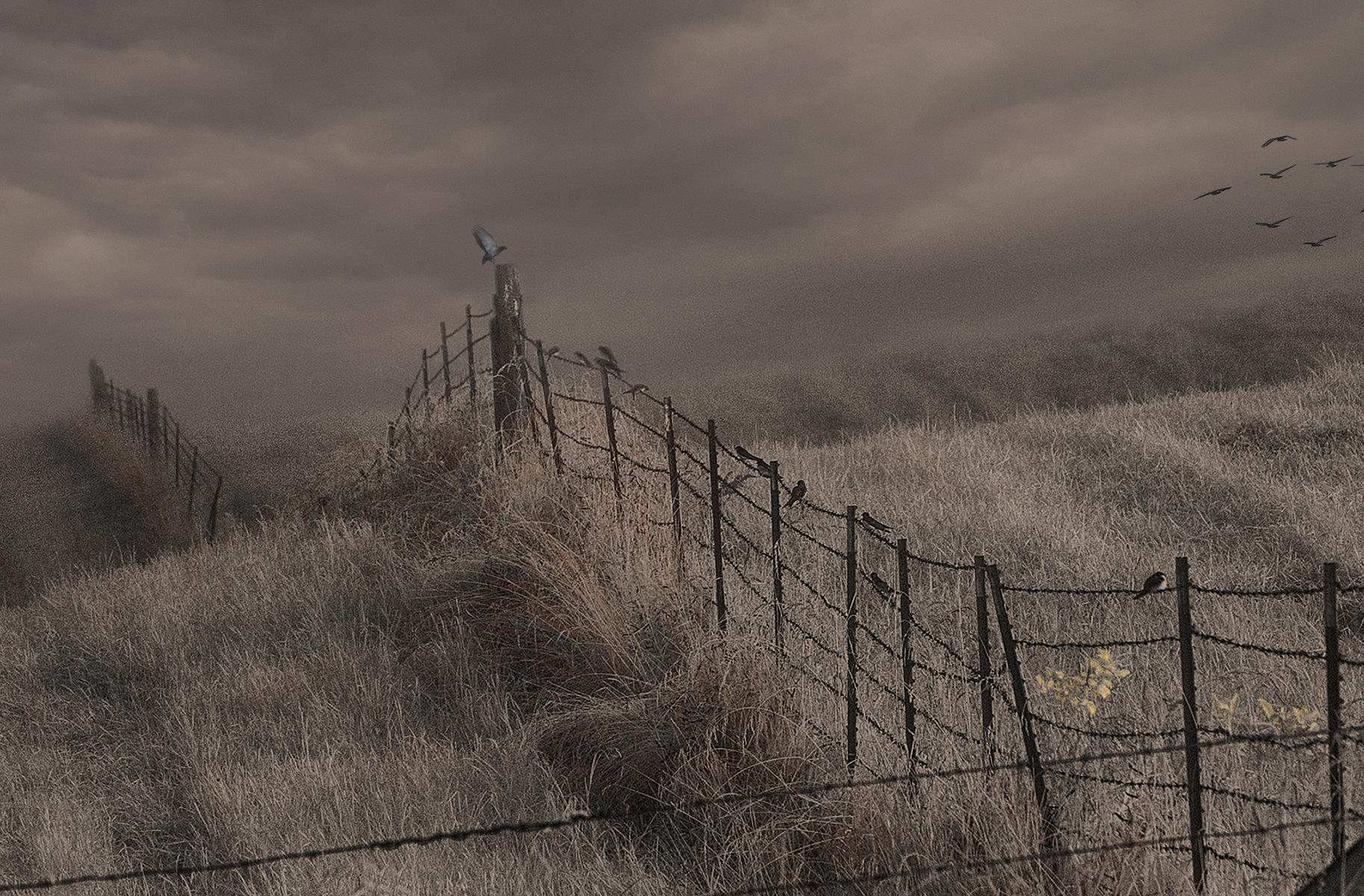 Country Moon-Cropped