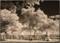 © 1980-2016 Gemignani, Fine Art Photography. All rights reserved.
