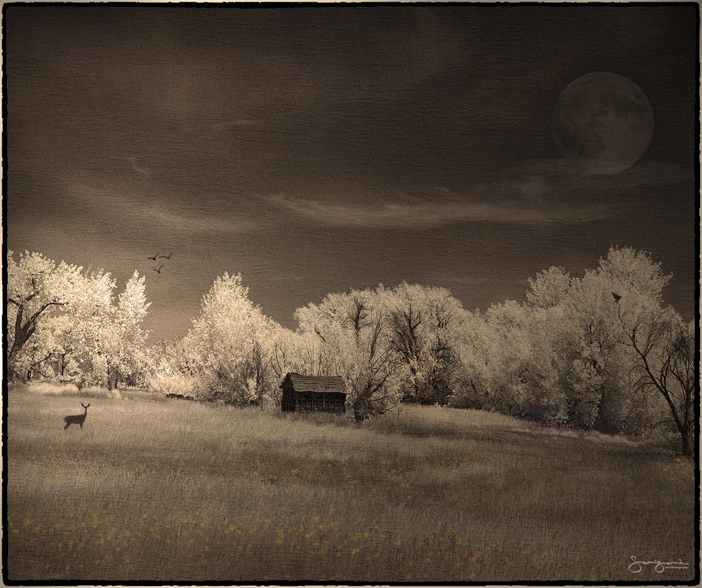 A Peaceful day on Arapahoe Road- 
Lafayette, CO