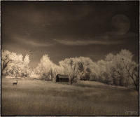 © 1980-2016 Gemignani, Fine Art Photography. All rights reserved.