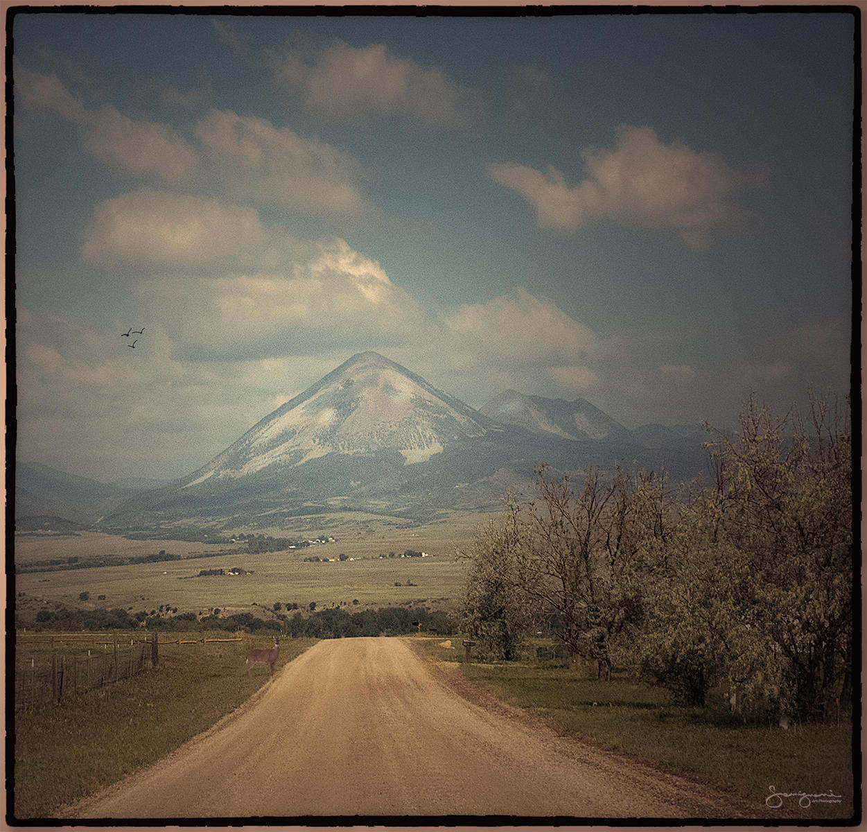 Dirt Road to Town-
La Veta,CO