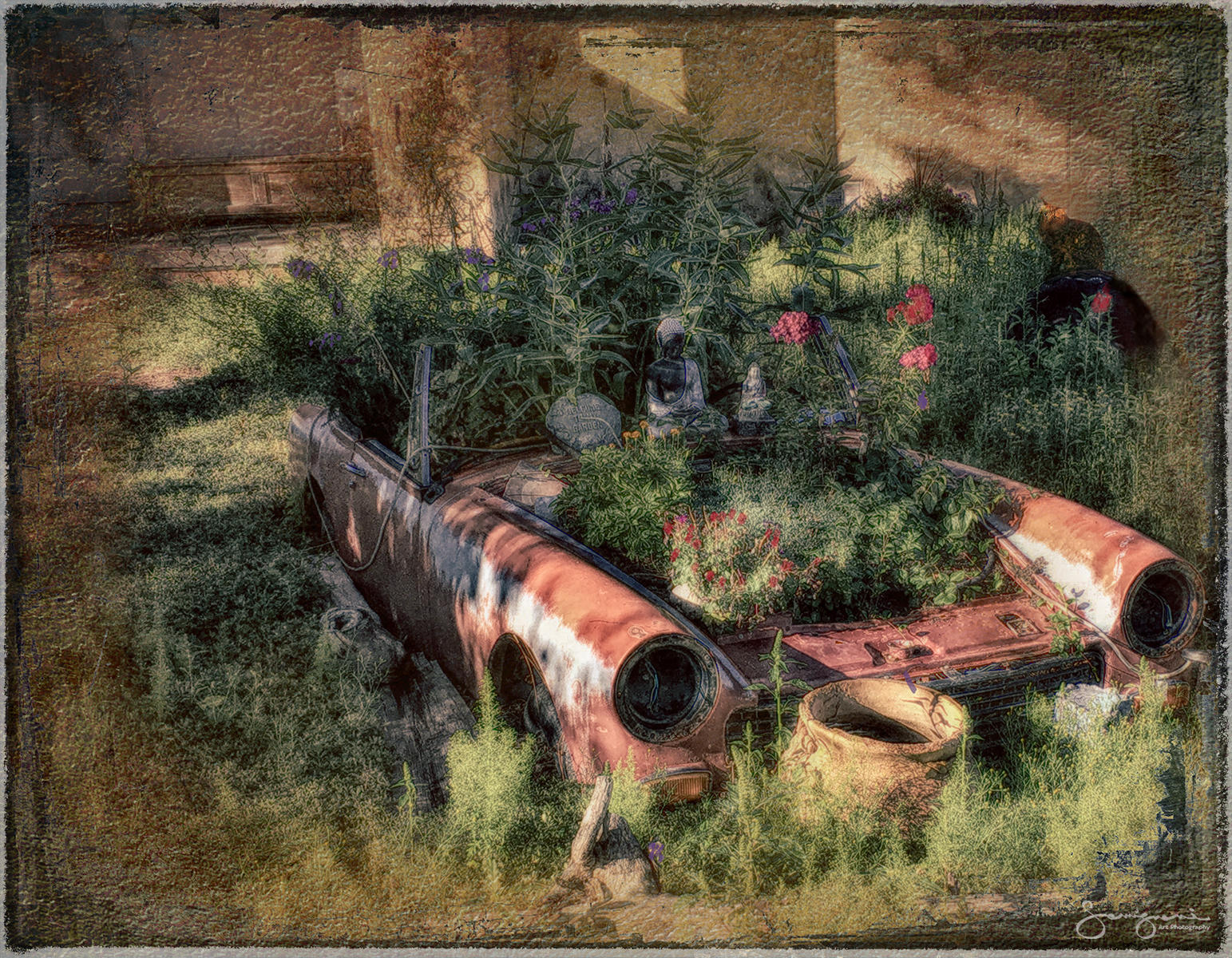 Front Yard Planter-
Santa Fe, NM