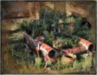 © 1980-2016 Gemignani, Fine Art Photography. All rights reserved.
