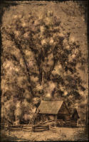© 1980-2016 Gemignani, Fine Art Photography. All rights reserved.