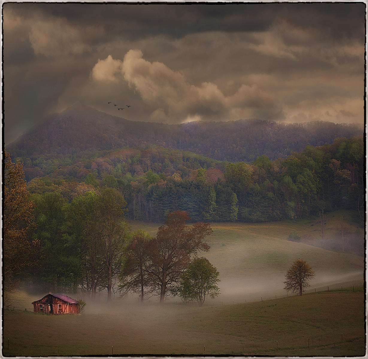 Old House Captured in Fog-Crab Tree NC