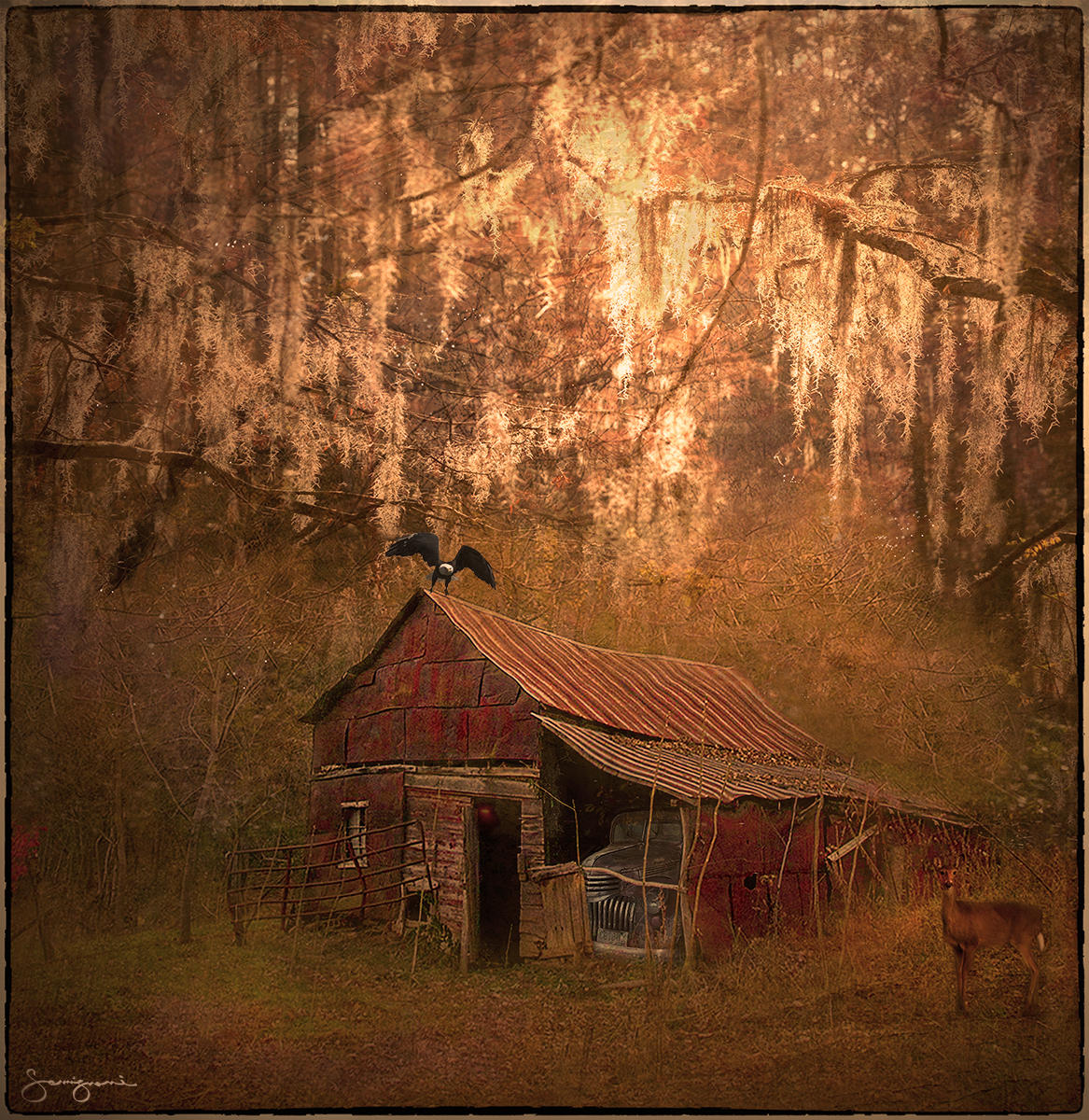 Gemignani_ Abandoned Metal Barn Beard Cove Rd-Woodfin, NC