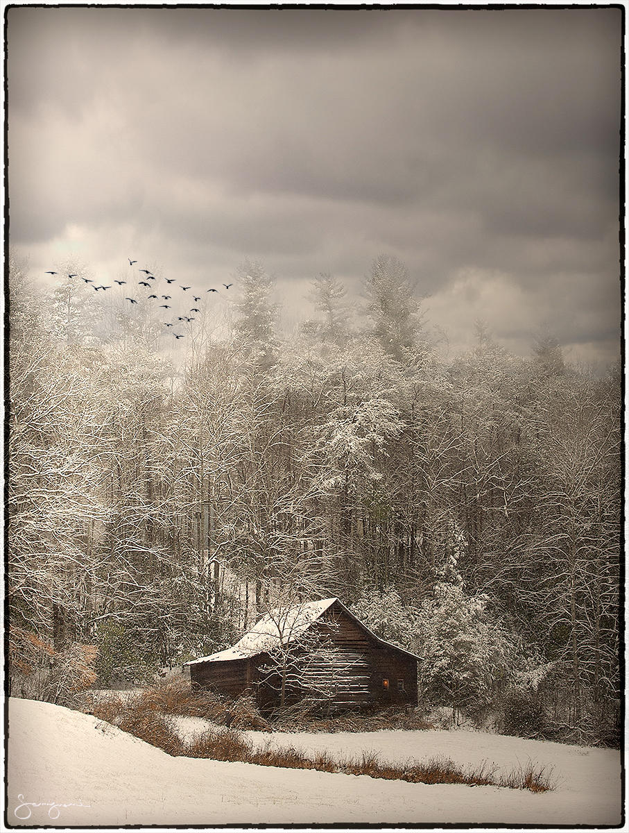 Subtle Colors on a Snowy Morning-Asheville, NC