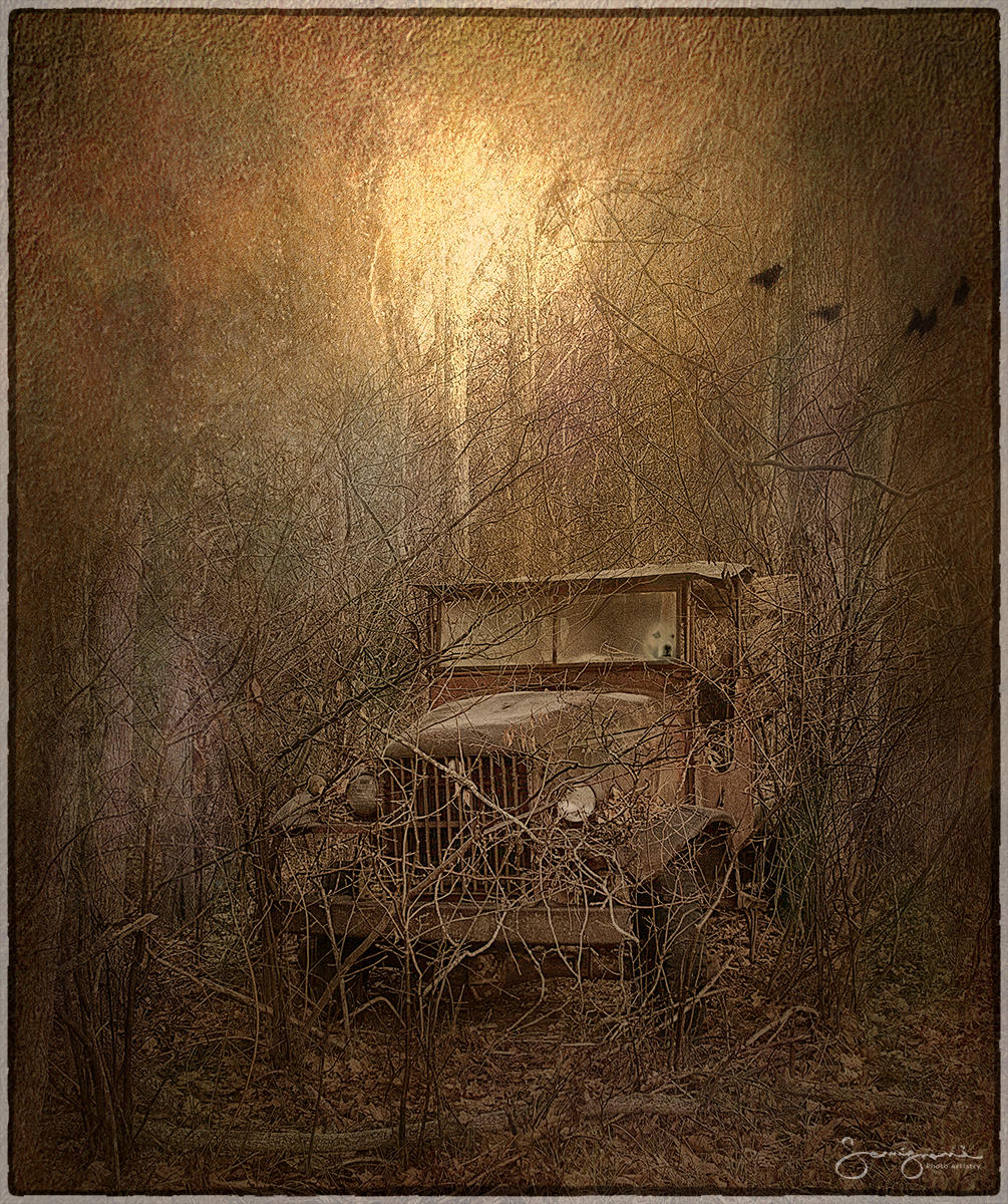 Abandoned-1905 Truck-
Asheville, NC
