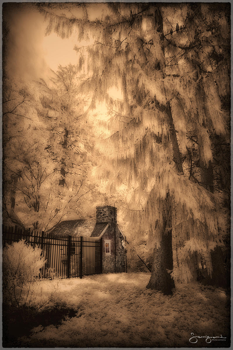 Tool Shed on Maplehill Road, PA