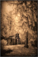 © 1980-2016 Gemignani, Fine Art Photography. All rights reserved.