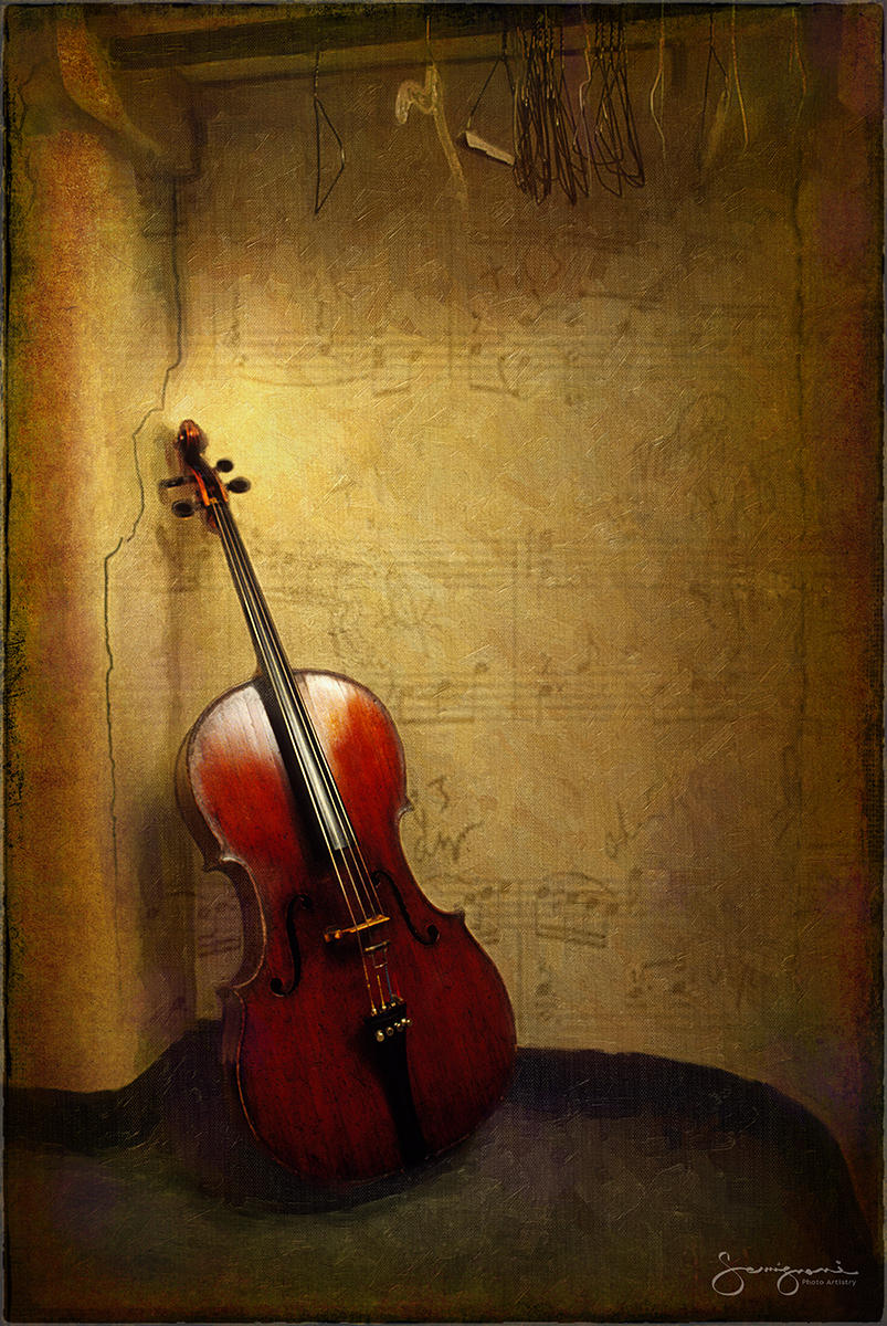 Cello in Closet-
Ft Lauderdale, FL