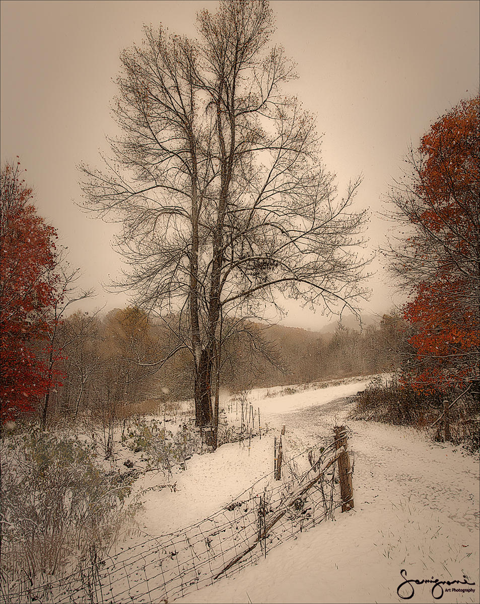 Between the Seasons-
North Carolina
