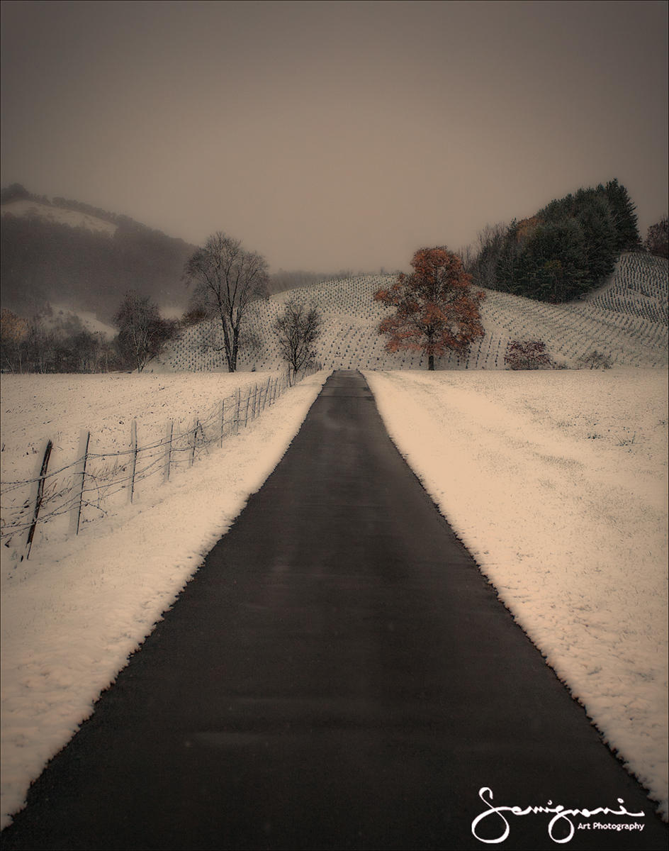 Early Snow, Jonathan Creek,NC