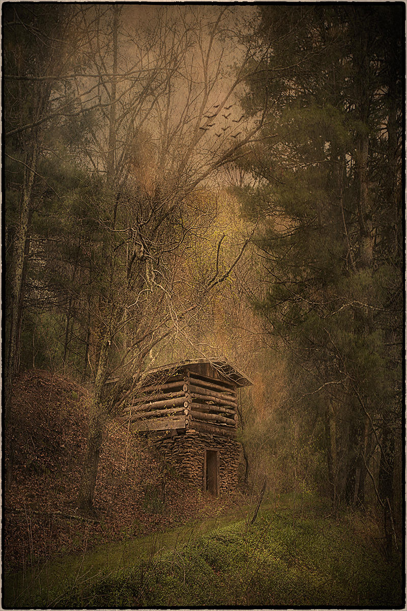 Abandoned Tabacco Barn- North Carolina