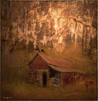 © 1980-2016 Gemignani, Fine Art Photography. All rights reserved.