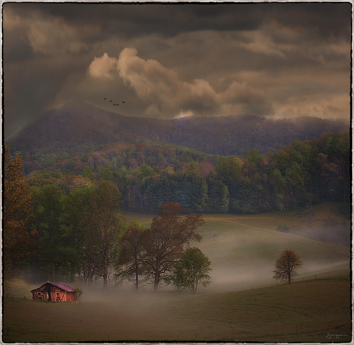 Old House Captured in Fog-Crab Tree NC