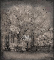 © 1980-2016 Gemignani, Fine Art Photography. All rights reserved.